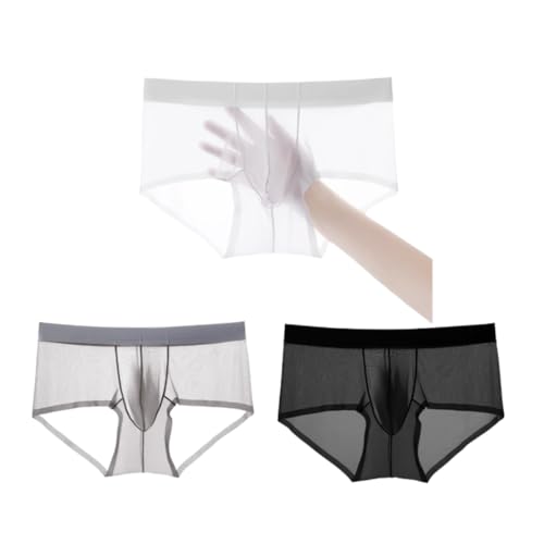 besurJameso Men's Panties Sexy Sheer See Through Ultra-thin Underwear, Ice Silk U Bulge Pouch Male Breathable Underpants