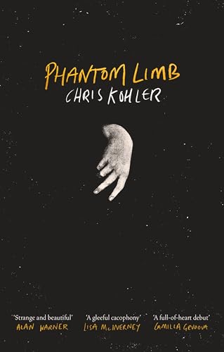 Phantom Limb view 2