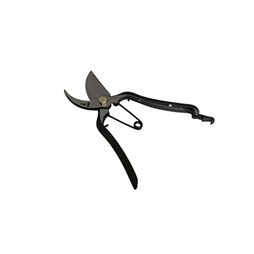 Amazon | 阿武隈川:阿武隈川宗寛 剪定鋏 200mm 金止 BP 109056 | 園芸