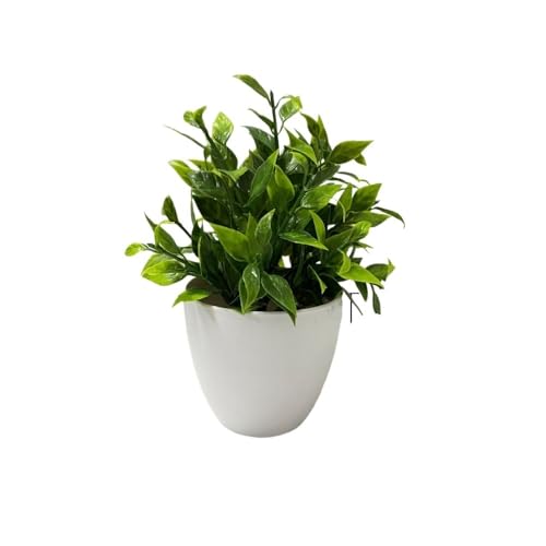 ���Ԗ~�� - ����������L���r�l�b�g�̑����p�̏����Ȕ��A���̗΂̐A��(COLOR2)