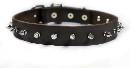 dean and tyler dog collars