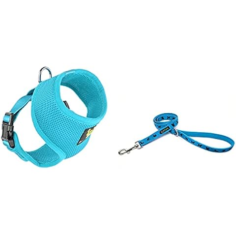 Sky Blue Dog Harness and Matching Leash Cover