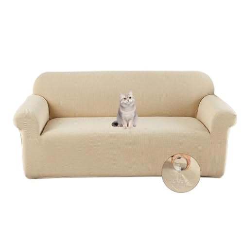 NUBAGO \t@[Jo[ 3l| It n H k Xgb` tBbg^Cv NbVJo[t  L LYh~ ~ _炩 Lkf ce 􂦂 ֗ lGKp x[W/F