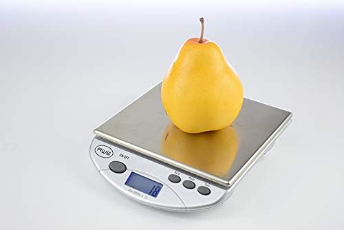 American Weigh Scale SL Series Precision Multifunction Scale, Stainless Steel, 13lb x 0.1oz (AMW-13-SL)