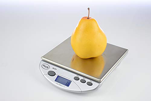 American Weigh Scale SL Series Precision Multifunction Scale, Stainless Steel, 13lb x 0.1oz (AMW-13-SL)