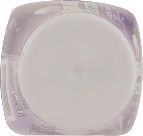 ICE BREAKERS Ice Cubes Arctic Grape Sugar Free Chewing Gum Bottle, 3.24 oz (40 Pieces)