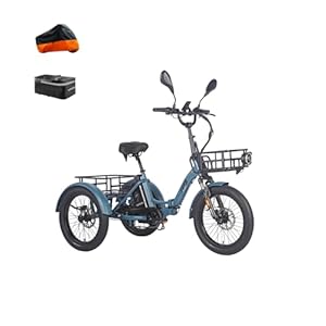 Fafrees F20 Mate Elektro-Dreirad | Klappbar, 48V Akku, 65Nm Motor | 20"×3.0 Allwetterreifen, 180kg Lastenfähigkeit, Senioren-E-Bike (21Ah - mit Frontrahmen, Blauer Stil 2)
