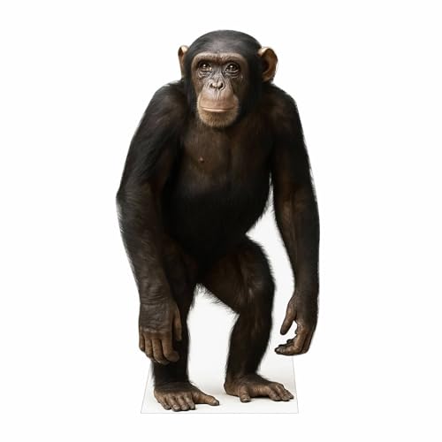 Image of Chimpanzee 4FT Life Size Cardboard Cutout - A Fun Animal Standup for Photo Booths, Birthday Parties, and Events