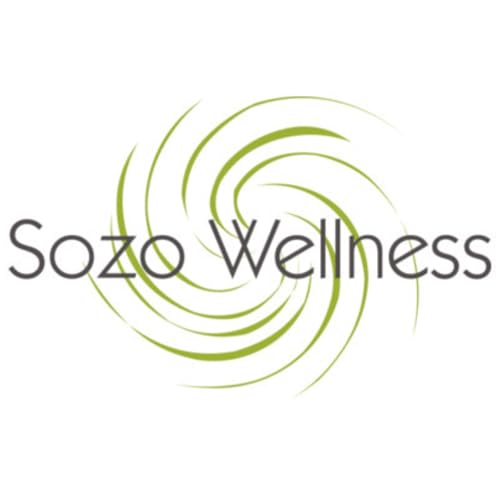 Couverture de The Sozo Method Podcast