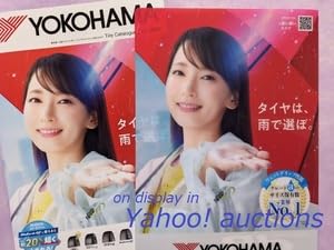 Amazon.co.jp: 吉岡里帆ヨコハマタイヤ クリアファイル & パンフレット