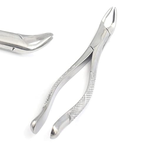 Precise Canada: Extracting Forceps 151A Lower Incisors Cuspids And Bicuspids 151A Universal Parallel Beaks