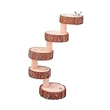 LIGHTAOTAO Wooden Parrot Ladder Toy Bird Toys for Birds Pet Ramp for Dogs for Parrots