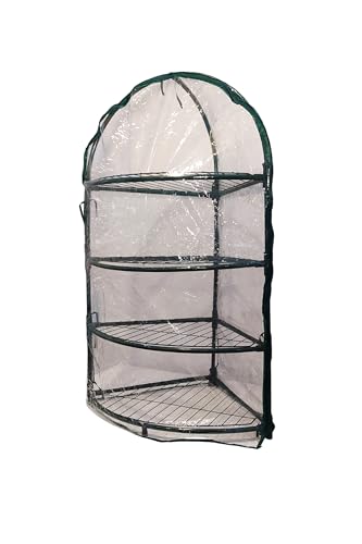 SERRA ANGOLARE 4 RIPIANI 60X60X150 CM CON TELO PVC TRASPARENTE E STRUTTURA IN METALLO VERNICIATA VERDE