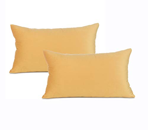 AyoAc Gold Lumbar Throw Pillow Covers Square Velvet Decorative Throw Pillows Case for Sofa Couch Bed Chair 12x20 Inch,Set of 2 (Gold, 12 x 20 )
