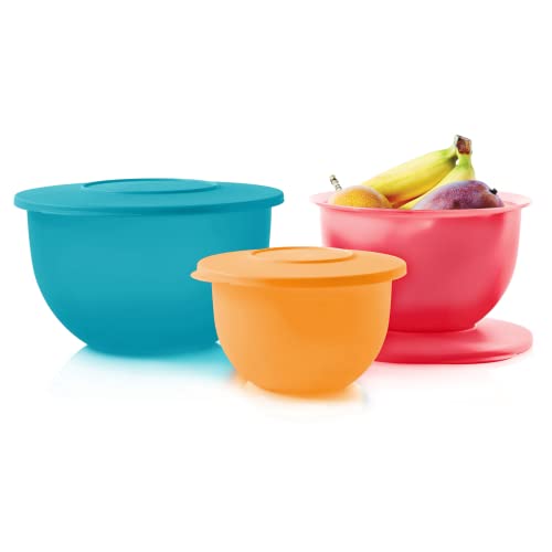 Best Tupperware Sets Essential Kitchen Solutions for Organized Living