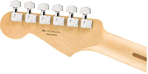 Player Stratocaster HSS MN Silver - Les Beatles, Paul McCartney, John Lennon, RIngo Starr, George Harrison Player Stratocaster HSS MN Silver – Image 7