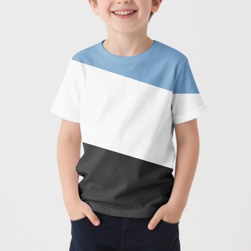 2-13T Baby Boy and Girls Short Sleeves T-Shirts Fashion Color Block Crewneck Shirts Kids Summer Going Out Tops2