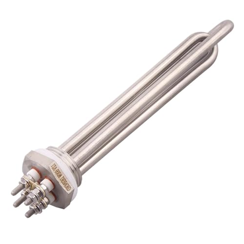 Elemento Calefactor Tubular Solar Eléctrico De Inmersión De Agua, 12 V, 24 V, 300 W, 600 W, SUS304, DN25, CC(Bsp,DC 12V_300W)