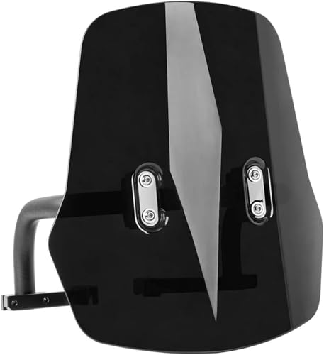 tgKX Trail125p CT125 2021-2024p h I[goCp(Smoke)