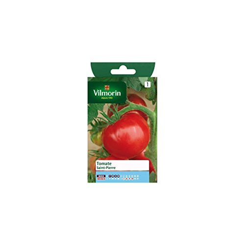 Vilmorin - Sachet graines Tomate Saint Pierre