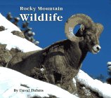 Rocky Mountain Wildlife 0964635909 Book Cover