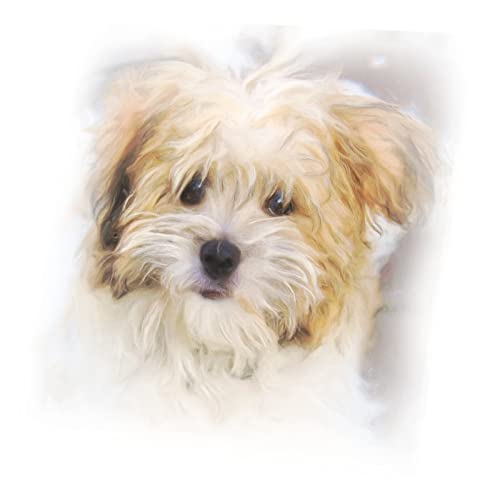 Caniche beige en toile imprimée 60 cm pour habiller un mur vide
