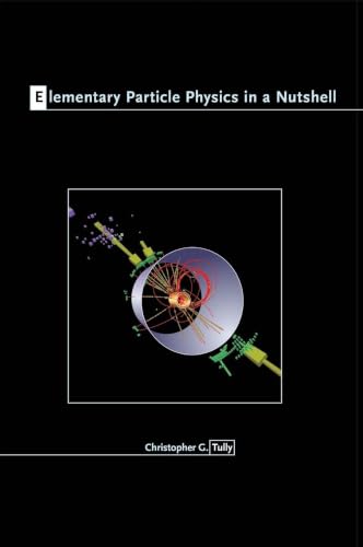 Elementary Particle Physics in a Nutshell view 2