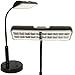 Light Accents Battery Powered Desk Lamp Super Bright LED's with Adjustable Metal Goose Neck (Black)