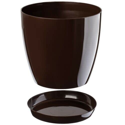 B2C Plant Pot Flower 20 Colours 9 sizes Gloss Plastic Plant Pots Planter Saucer Tray Deco (16 cm/ 6.3 inch, Brown)