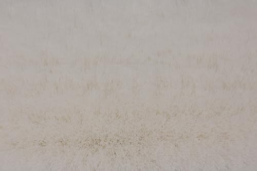 Image of SPARTA 41278EC02 Flo-Thru Plastic Wall Scrub Brush, Equipment Brush With Soft Nylex Bristles For Industrial Kitchens, Hospitals, Commercial Cleaning, 4 Inches, White