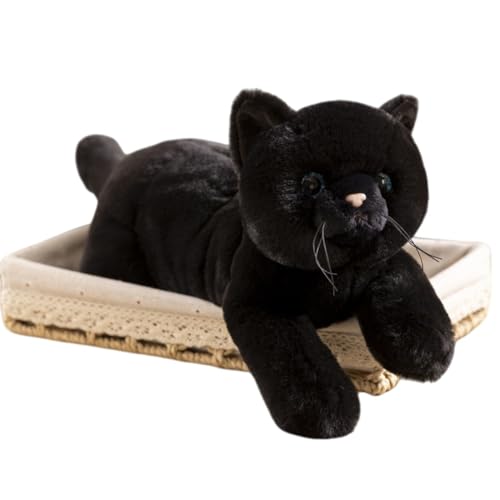 SIzlaho L lR A ʂ   NbV  ӂӂ CeA v[g L L g OєL   Aj} 􂦂 L lRʂ YQ  J[4 50cm Əj  