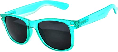 Image of OWL Retro Style Sunglasses 80's Classic Vintage Unisex Nerd Colored Frame