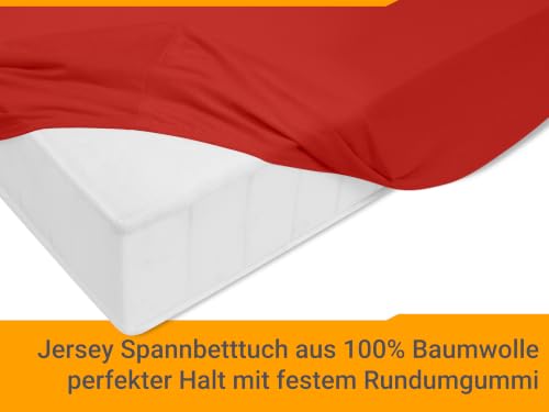 npluseins Jersey Spannbetttuch Baumwolle, 180x200-200x200 cm, Rot – Ansicht 4