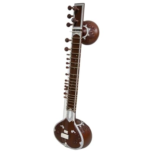 HAHAPA Profesional Pt. Ravi Shankar Style Double Tumba Sitar, instrumento de cuerda tradicional indio, marrón con caja de fibra Torlley