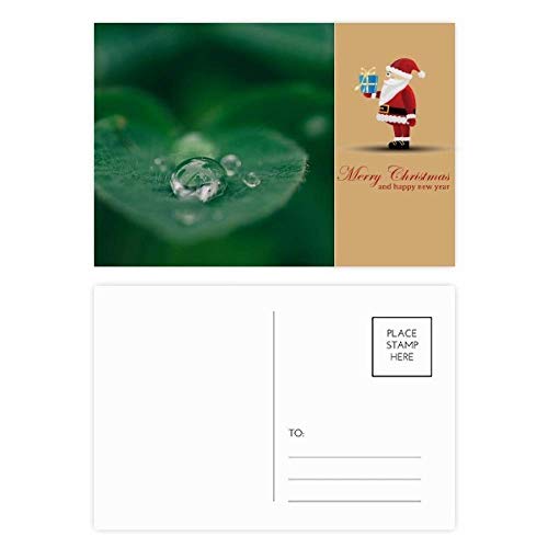 Cartes postales feuilles de Père Noël Dewdrop en papier épais haut de gamme