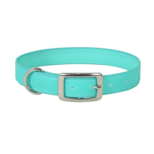 Image of Lightweight, Waterproof & Odour Proof Dog Collar - Large, Turquoise