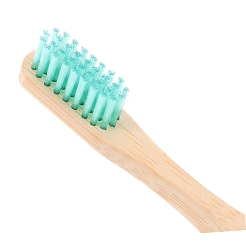 Veemoon Einweg Zahnbürsten aus mit Aufbewahrungstube Zufälligen Farben und Biologisch für Reisen und Nachhaltige Zahnpflege Zufällige Farbe Zufällige Farbe – Bild 6