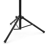 Theodore B087QDBZ7K lato 4