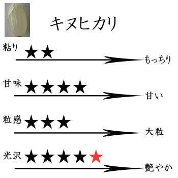 Amazon.co.jp: 米 キヌヒカリ ◇玄米30kg(10kg×3) 滋賀県東近江産 西村