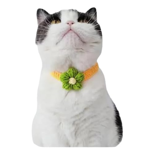 \Ȃ킢j҂݂̎qqL݃ybgjbgXJ[tlN^Cybgp[eB[api,b