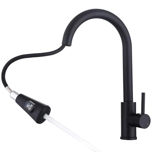 HOMELODY Wasserhahn Küche Schwarz mit LED Temperaturanzeige, Küchenarmatur Ausziehbar, Hochdruck Mischbatterie Spültischarmatur aus Edelstahl mit 2 Strahlarten, Einfache Installation