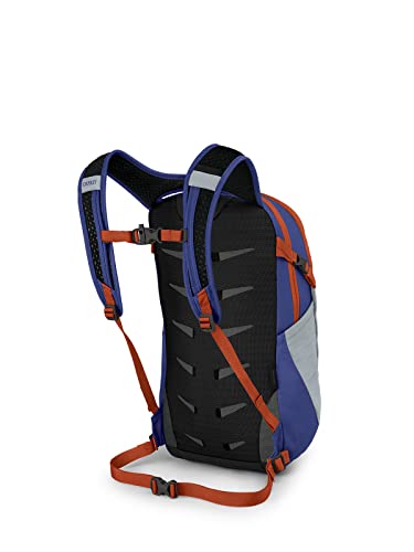 Osprey Europe Unisex Backpack, Silver Lining/Blueberry, One Size - Image 3
