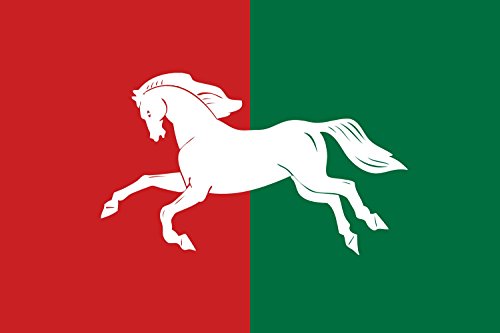 Drapeau Ufimsky rayon grand format de Bashkortostan Russie pour mât extérieur