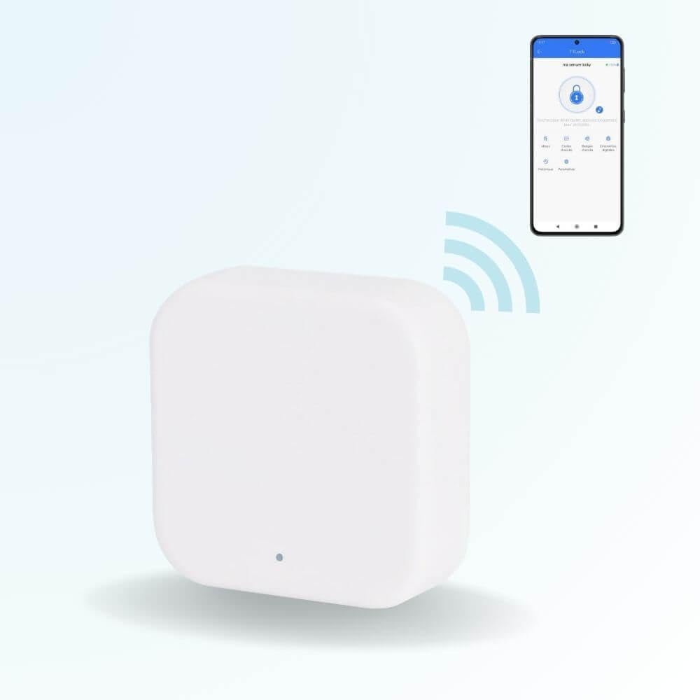 Kit de contrôle d'accès connecté Anti vandalisme LOCKY-14 sans-Fil à Codes, App, Bluetooth