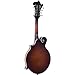 The Loar LM-310F-BRB Honey Creek F-Style Mandolin