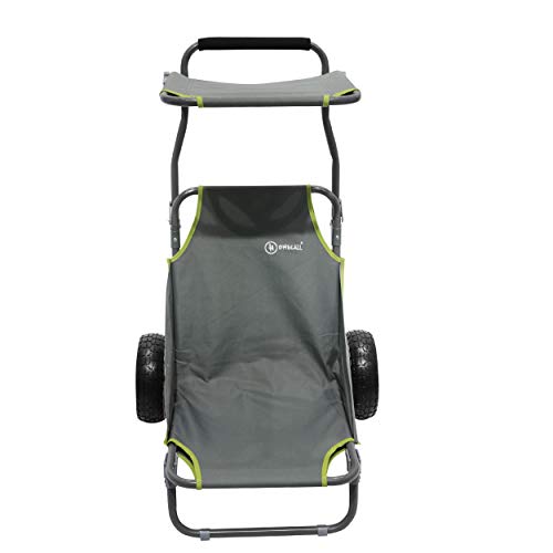 Diable avec pare-soleil intégré Homecall chariot de plage robuste