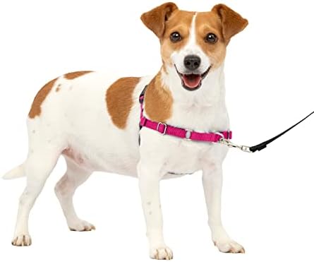 PetSafe Easy Walk No-Pull Dog Harness - The Ultimate Harness to Help Stop Pulling - Take Control & Teach Better Leash Manners - Helps Prevent Pets Pulling on Walks - Small, Raspberry/Gray