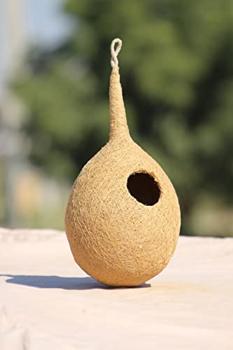 Organic-Large-Size-Bird-NEST-Set-of-Two-Purely-Made-by-Bird-Building-Technique-Bird-House-Hanging-Wall-Mounting-Tree-Mounting-Pack-of-1