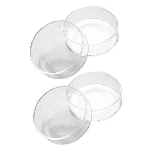 POPETPOP 2 KX~jgC P[LM t[cM T_pt[hgC ȃfU[gv[g aLO