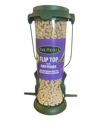 Oakdale Flip Top Suet & Seed Bird Feeder | Includes Premium Suet | Hanging Wild Bird Feeders for Garden | Easy Flip Lid Refill | Attracts Finches Sparrows & Tits | Bird Feeders Hanging Station UK